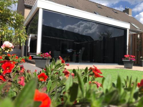 c3588470-2505-44ed-adc3-ab9b893ffb40-2